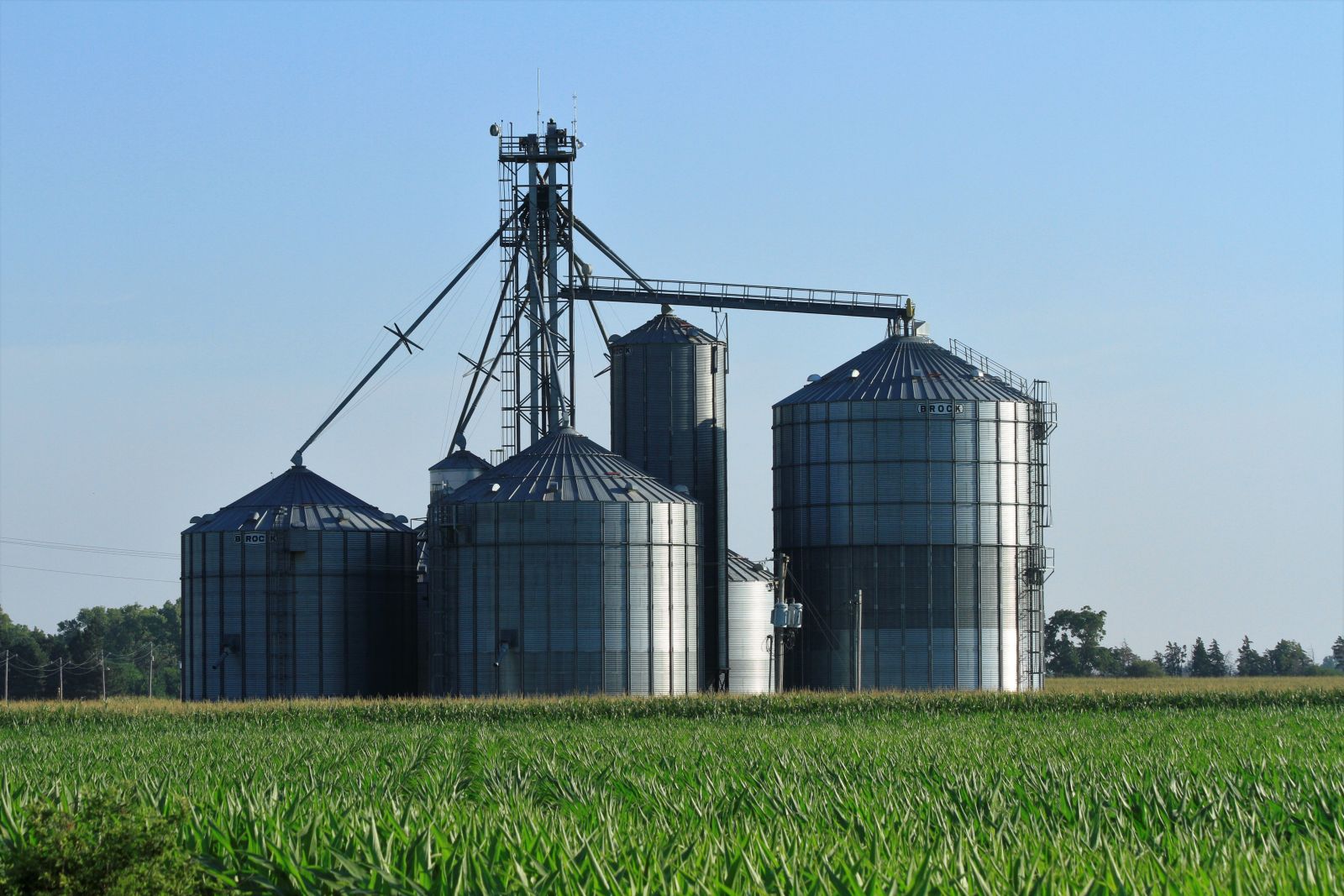 Farming - shutterstock_1469547548